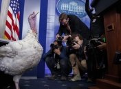 В США и Канаде празднуют День Благодарения