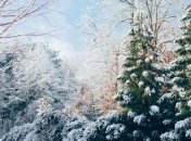 В Украине ударили сильные морозы: кому не повезло с погодой больше всех