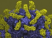 Ученые создали ловушку для вирусов