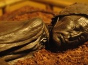 Ученые раскрыли загадку Толлундского человека