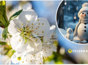 В Україні випав сніг