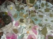 Марихуану и гашиш на сумму около 850 000 гривень изъяли у жителя Запорожья