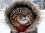 Температурные "качели" и мокрый снег: синоптики дали прогноз на февраль  