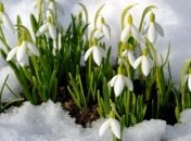 В Украине станет еще немного теплее