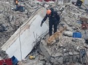 Обвал жилого дома в Стамбуле: количество жертв возросло, спасен 16-летний парень