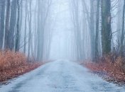 ГАИ Украины напоминает водителям о внимательности 