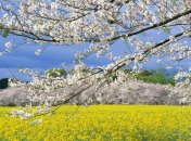 27 марта. Приметы дня