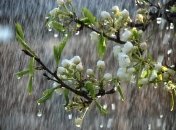 Рясні дощі почнуться у першій декаді травня