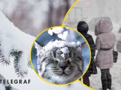 Погода в Україні