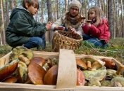 В Литве в рамках Дня грибов пройдет 10-й чемпионат грибников