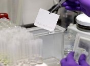 В Украине изготовили первую партию экспресс-тестов