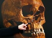 Ученые выяснили обстоятельства гибели Ричарда III
