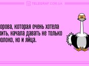Начните утро с позитива: уморительные анекдоты 26 апреля