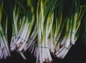 Лук будет расти красивый, большой и вкусный