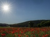 Погода на сегодня: в Украине будет жарко 