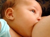 Материнское молоко повышает интеллект ребенка