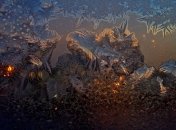 Сегодня ночью будет до 14°С мороза 