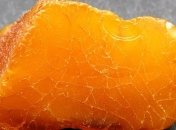 Поляк пытался незаконно вывезти 40 кг янтаря