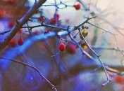 Погода в Украине на 16 декабря: значительное потепление