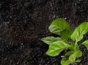 Местным бюджетам частично компенсировали потерю 321,55 га земель