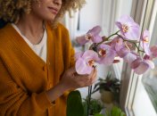 Орхидея порадует безумным цветением