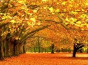 Погода в Украине 25 октября: преимущественно без осадков