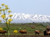 Израиль нашел на Голанских высотах место для поселения в честь Трампа