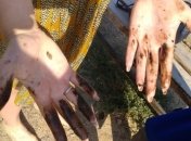 На пляжах Одессы обнаружена жидкость с запахом мазута (Фото и видео)