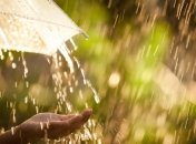 Дожди будут сменяться солнцем и наоборот