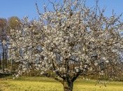 Днем существенно потеплеет, но ночи – холодные: погода на ближайшие дни