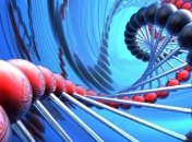 Ученые выяснили, что ДНК предков была более богатая