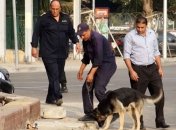 33 человека стали жертвами терракта в Египте