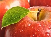 Существует два продукта, которые необходимо съедать каждый день 