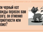 Проведите вечер в хорошей компании: юморные анекдоты 13 декабря