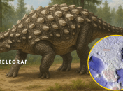 Новий вид назвали Ruopodosaurus clava (Руоподозавр булава)
