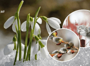 Погода зимой