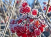 Мороз и снег: в Украину пришло похолодание 