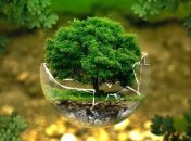 Поставлен новый печальный рекорд выбросов углекислого газа в атмосферу 