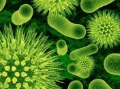 Созданы самые эффективные антибиотики