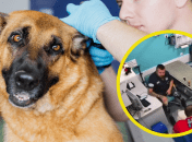 Стали відомі нові деталі скандалу