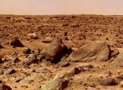 В кусочке Марса на Земле нашли странных существ