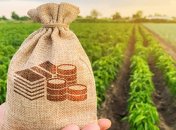 "Налог" на огород и землю, рост цен на квартиру и подорожание пива: депутаты сделали первый шаг