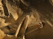 Эта находка способна переписать историю 