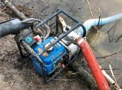 Полиция задержала нелегальных копателей янтаря