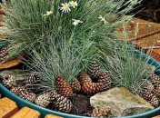 Как оригинально задекорировать канализационный люк на даче