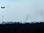 Около 100 домов уничтожено лесными пожарами в Колорадо