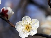 В Украину идет похолодание с дождями и морозами 