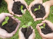 Гройсман рассказал о текущей ситуации с земельной реформой