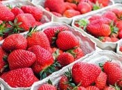 Стало известно, что клубника помогает предотвратить опасную болезнь