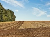 Создать онлайн-кабинет можно не выходя из дома: пилотный проект аграрного реестра запущен